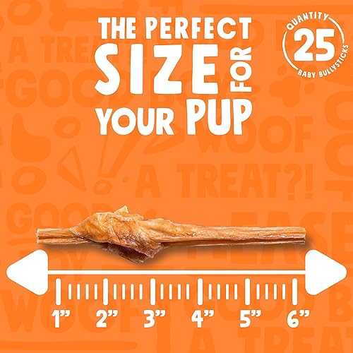Vista 42 de Palitos Junior Bully para perros pequeños, totalmente naturales, de un solo ingrediente, para cachorros y perros medianos (12 pulgadas - 15 unidades)