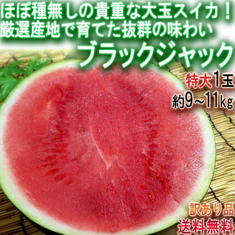 Amazon.co.jp: ブラックジャック 約9~11kg 訳あり 種無し西瓜 1玉 千葉