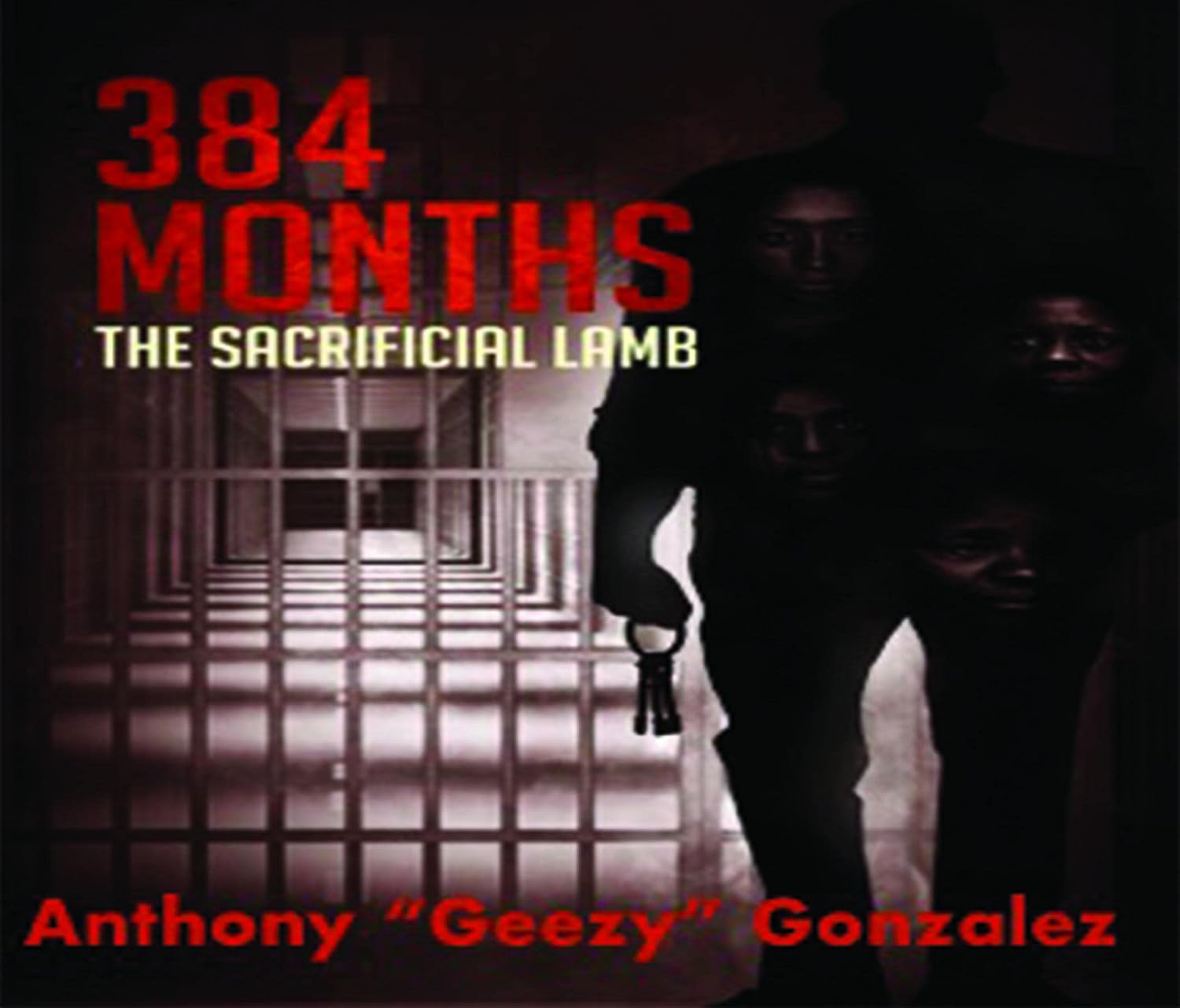 384 Months      Kindle Edition