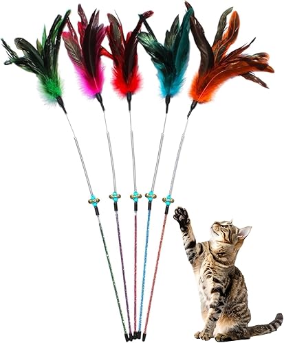 Varita de juguete de plumas para gatos, juego de 5 varitas interactivas con plumas, diseño de resorte duradero, perfecto para divertirse en el