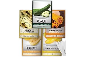 GARDENERS BASICS SUMMER SQUASH SEEDS