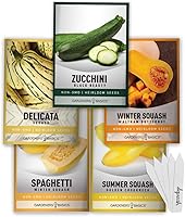Gardeners Basics Non-GMO Heirloom Squash Seeds Variety Pack: Zucchini, Delicata, Butternut, Spaghetti, Golden Crookneck - 5 Packets