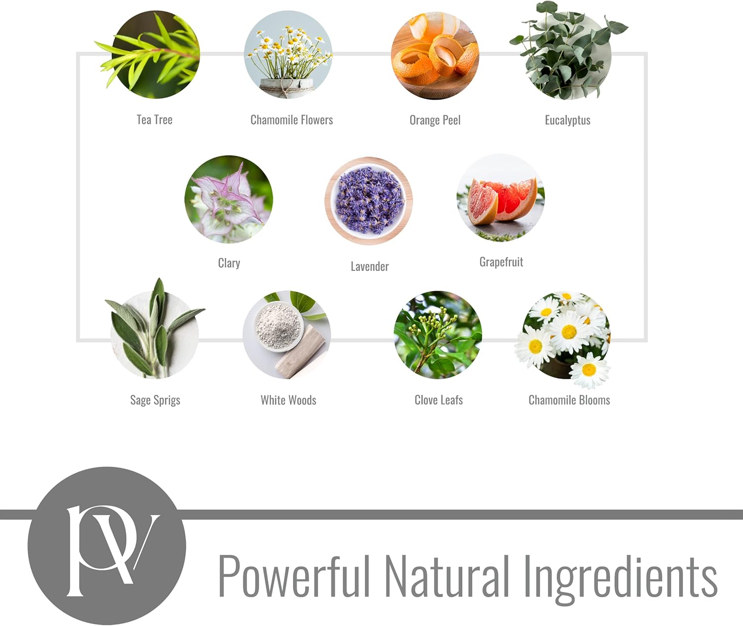 Pavelle Aromatherapy Shower Steamer, 100% Natural Relaxing Essential Oil Spray Mist for Sinus & Congestion Relief, Spa, Sauna & Bath Gift Set for Women & Men, Made in the USA, Lavender Bliss, 8 Fl.Oz.