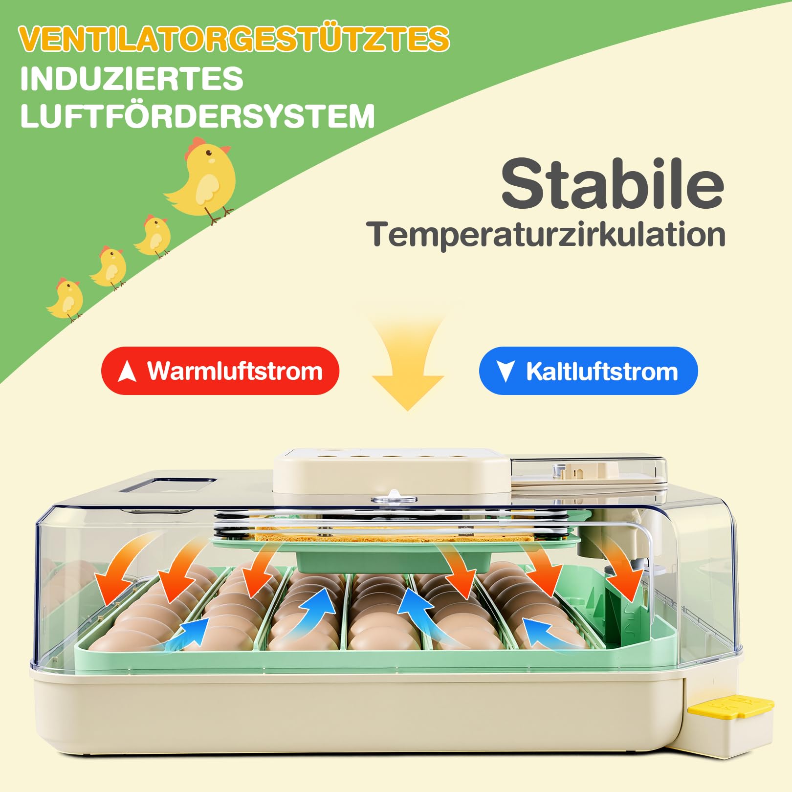 Sailnovo Couveuse Oeuf Automatique 48 Oeufs, Incubateur Oeuf Automatique avec Retournement Automatique des Oeufs et Humidification Automatique, Couveuse Incubateur œufs de Poule, Caille, Canard, Vert