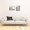 Product Photo 8