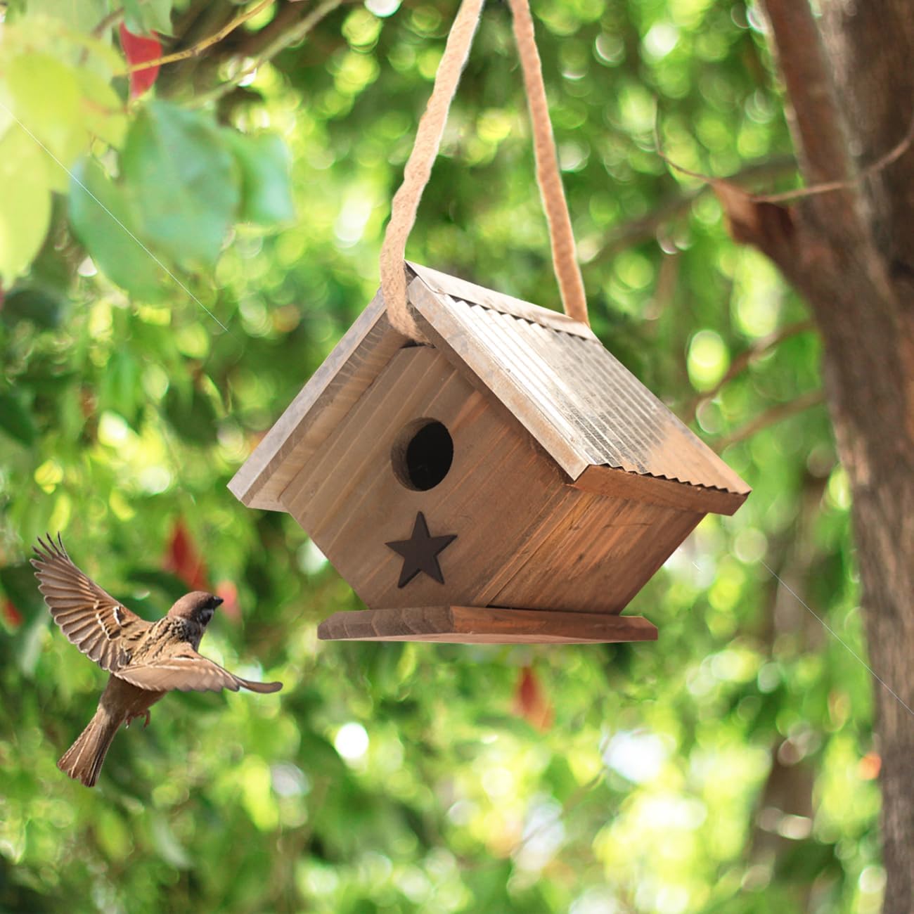 Cedar Wren House, Metal Roof Bird House for Wrens and