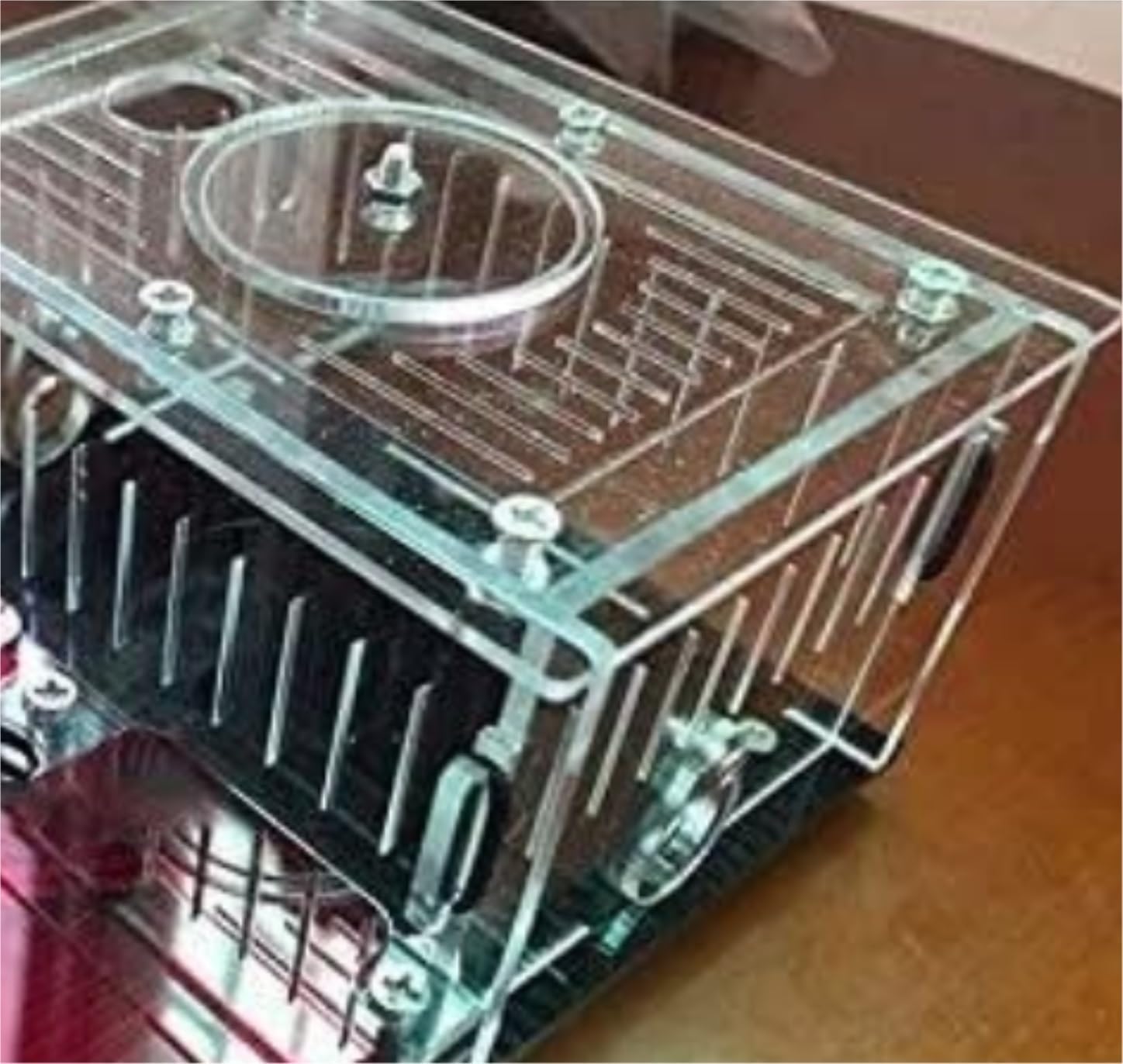 Ant Farm Ant Farm Black Base Plane Castle Acrylic Nest Study Behavior Explore The World at Home Habitat