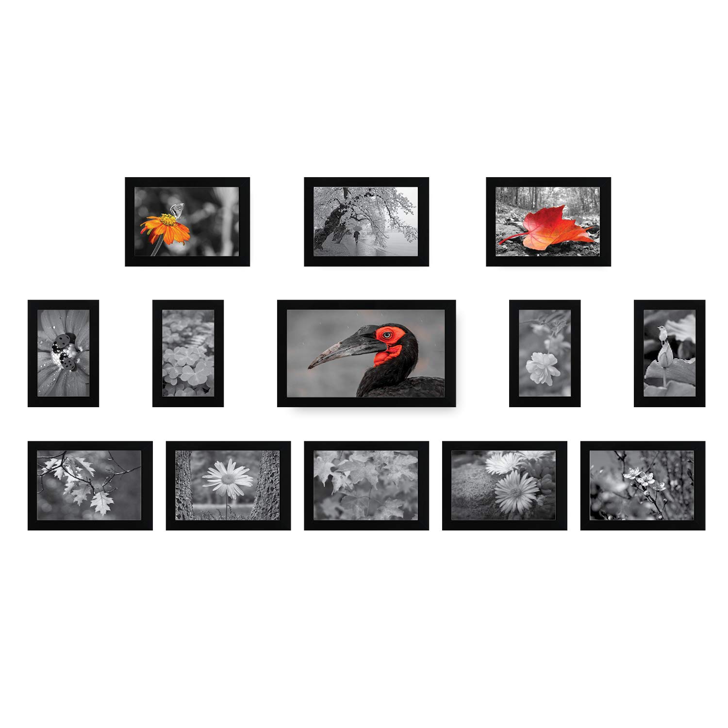 Amazon Brand - Solimo Collage Set of 13 Black Photo Frames (4 X 6 Inch - 4 , 5 X 7 Inch - 8 & 6 X 10 Inch - 1)