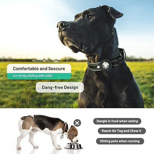 Miniatura 5 de Collar para perro con código QR etiqueta de identificación de mascotas inteligente reflectante impermeable ajustable con soporte para estuche