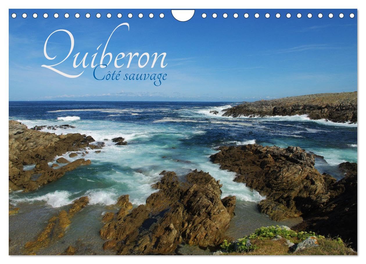 Quiberon Wild Side (Wall Calendar 2024 DIN A4 Landscape), CALVENDO 12 Month Wall Calendar