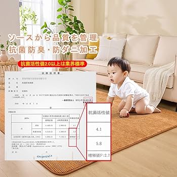 【未使用】リドリム　第３世代ラグマット　洗えるカーペット　低反発　両面使用可 REDREAM 第3世代 ラグ カーペット 両面 低反発 厚み約25mm