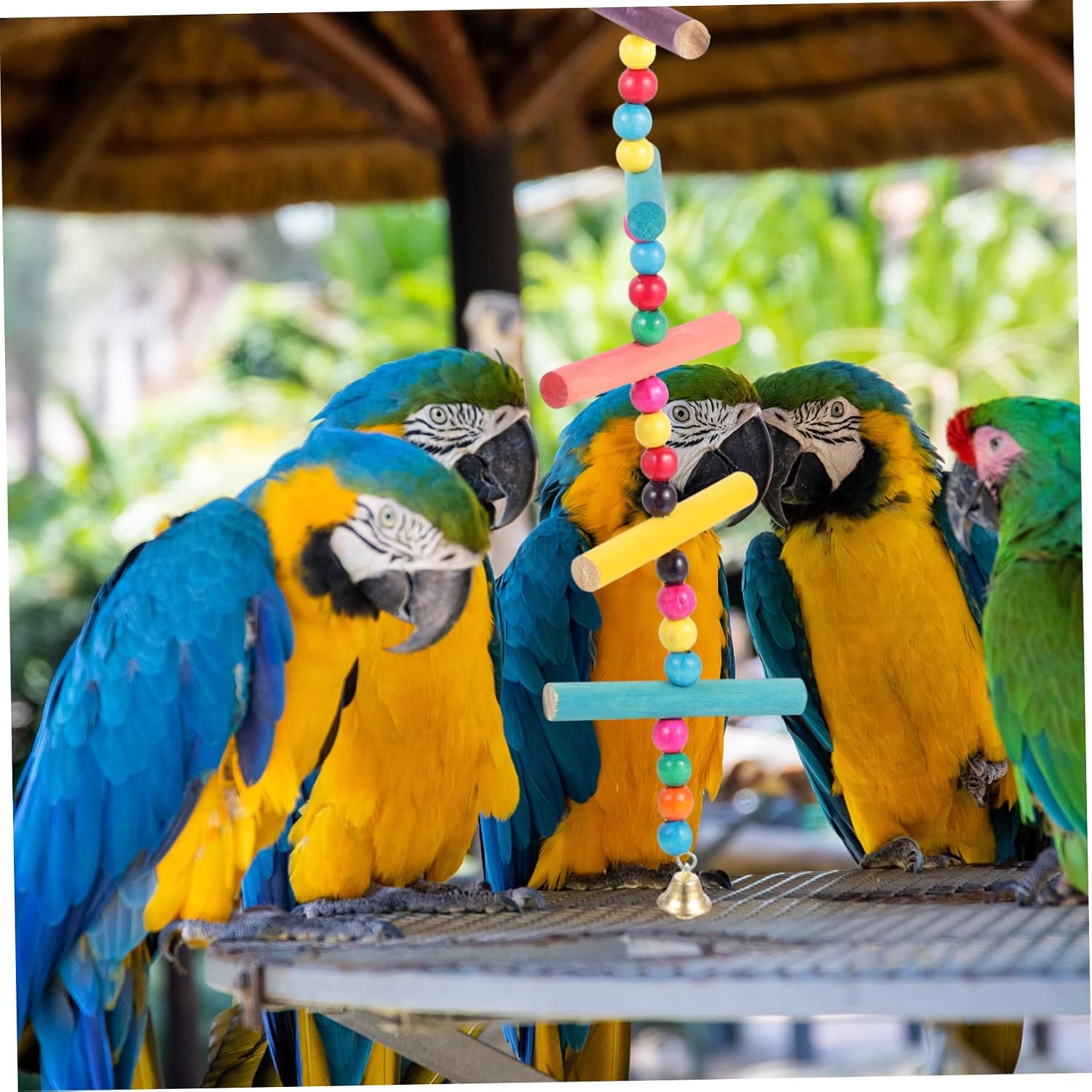 LIOOBO 3pcs Bird Ladder Toy for Parakeets and Pet Birds Wooden Hanging Ladder Climbing Perch for Macaws Conures and Finches Tear-Resistant Design for Play and Exercise