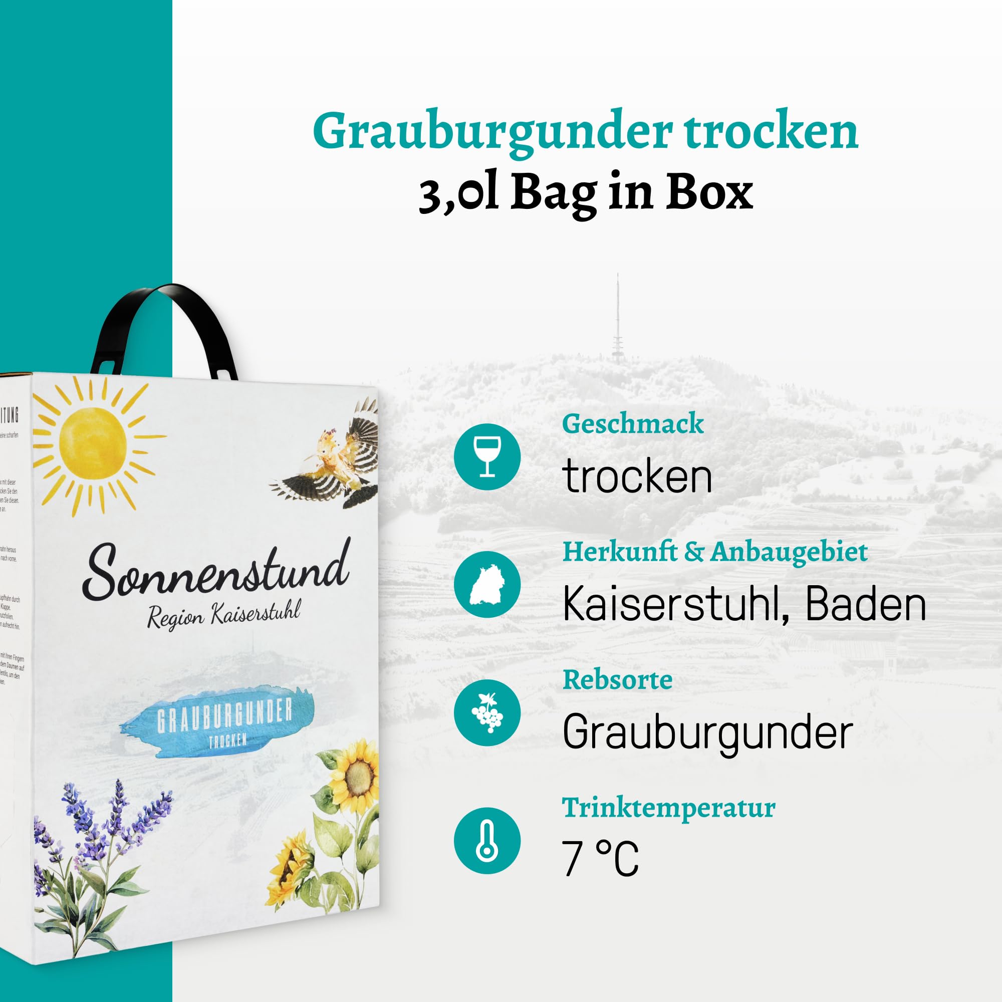 Sonnenstund Grauburgunder Weißwein-Paket - Bag-in-Box Grauburgunder trocken vom Kaiserstuhl - fruchtig-frisch & unkompliziert, ideal für Feiern, Gartenparty & Camping (4 x 3 l)