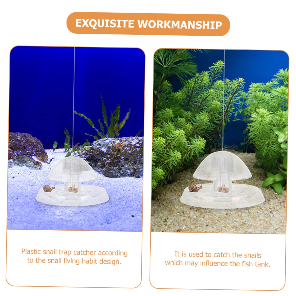 Abaodam 4 Sätze Transparentes Aquarium Schneckenfänger Robuster Kunststoff Wiederverwendbar Zum Natürlichen Fang Von Schnecken Im Aquarium Durchmesser 2 Stücke * 4