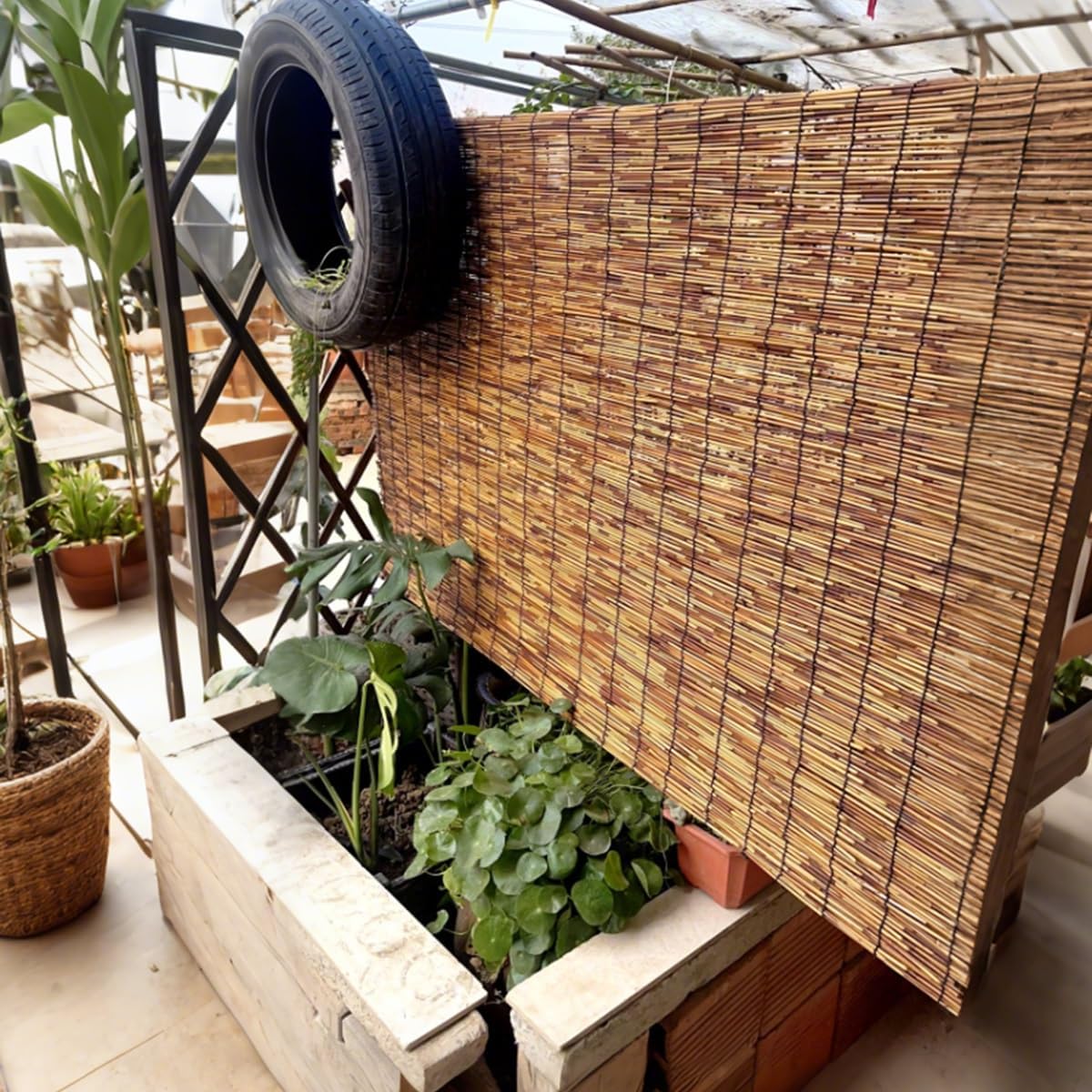 天津すだれ 天然よしすだれ 竹製ロールスクリーン 65 85 105 125 145 165 cm 竹スクリーン オーダーメイド 遮