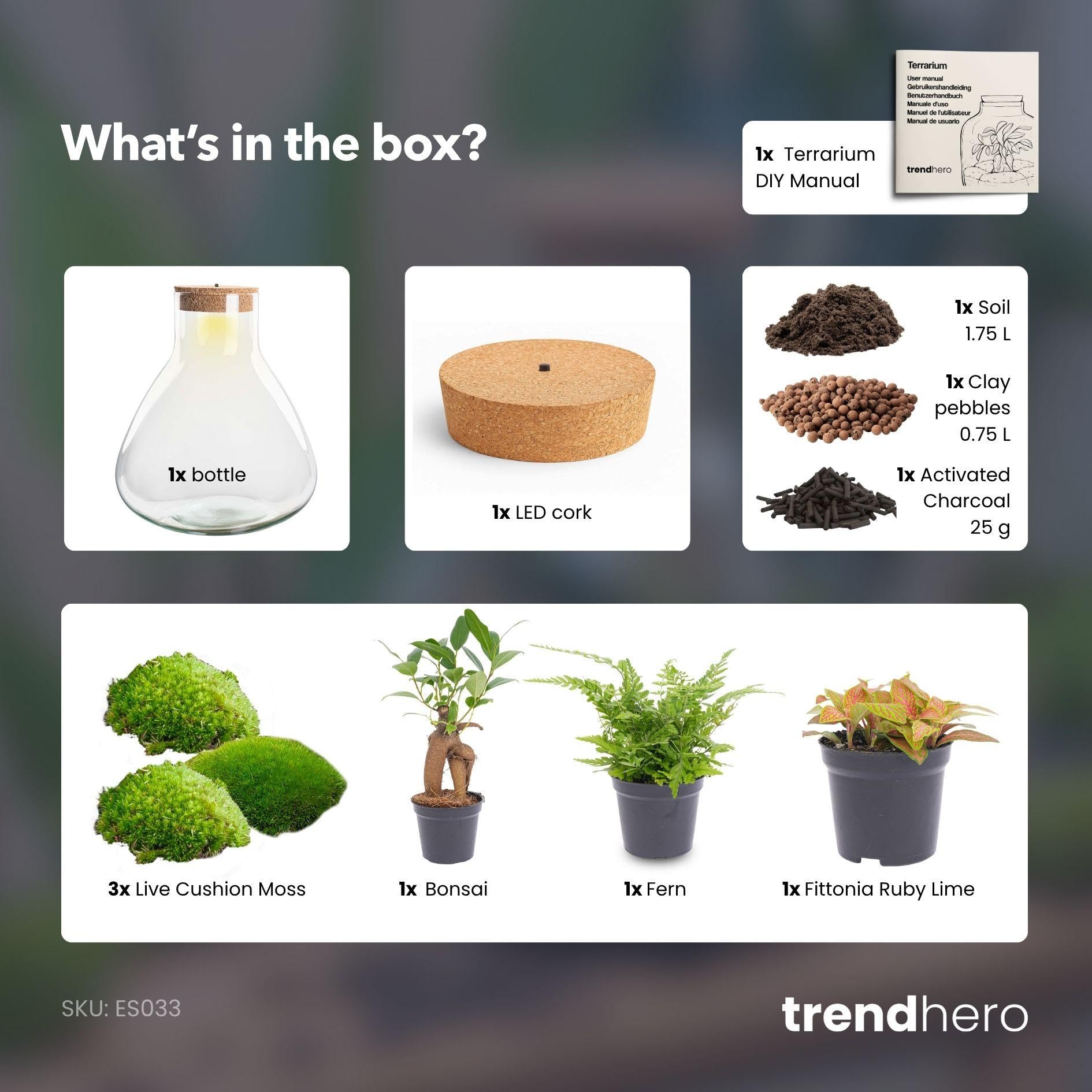 DIY Terrarium mit LED, Glas, Deko Set mit Bonsai, Grün, Ø 30 cm