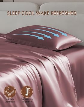SilkSilky 22 Momme Pure Organic Silk Pillow Cases for Hair & Skin Standard
