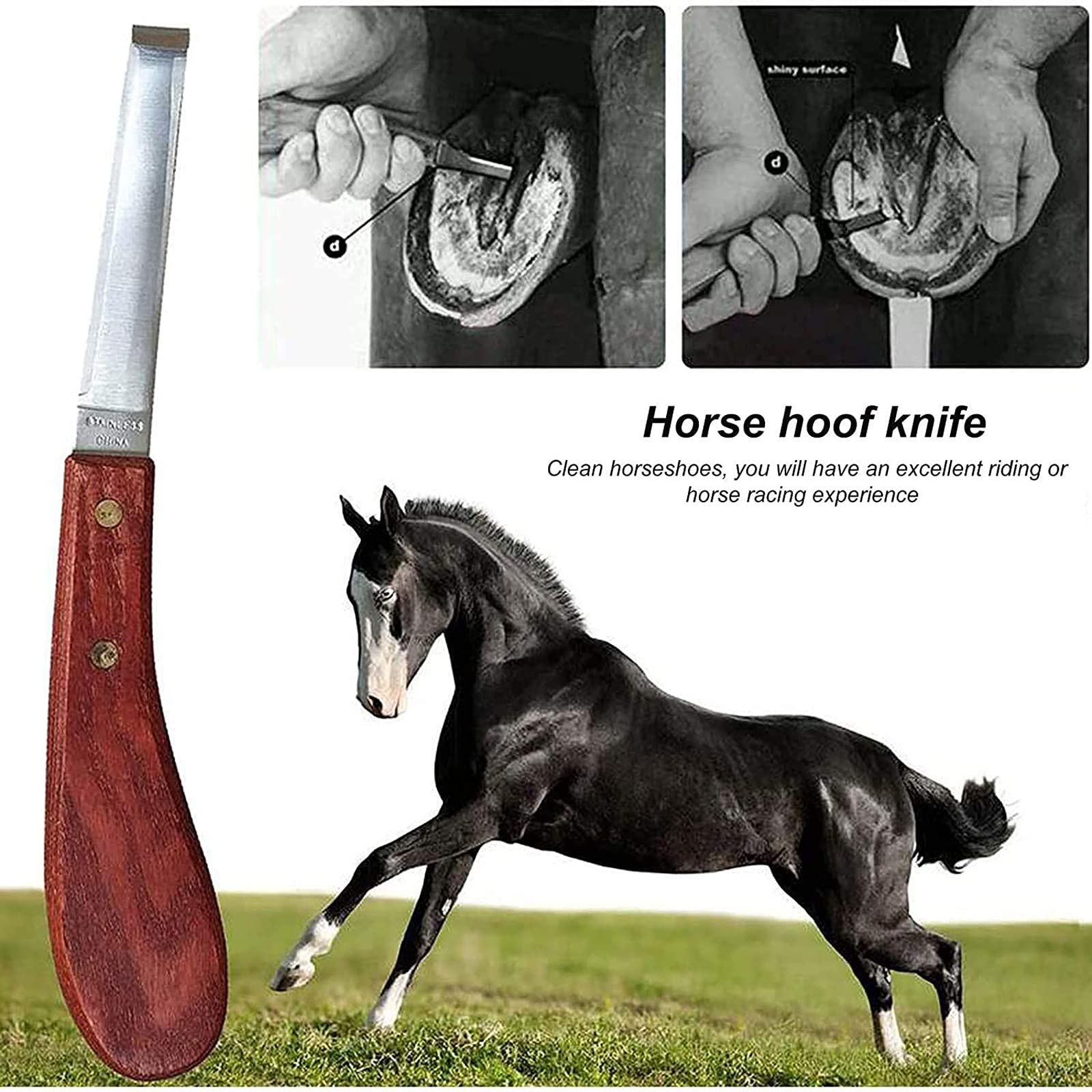 Recortadora de pezuñas de Caballo, Cuchillo for pezuñas de Caballo, Traje de Lima de Herradura de 14 Pulgadas, Herramienta for el Cuidado de Las pezuñas de Caballos