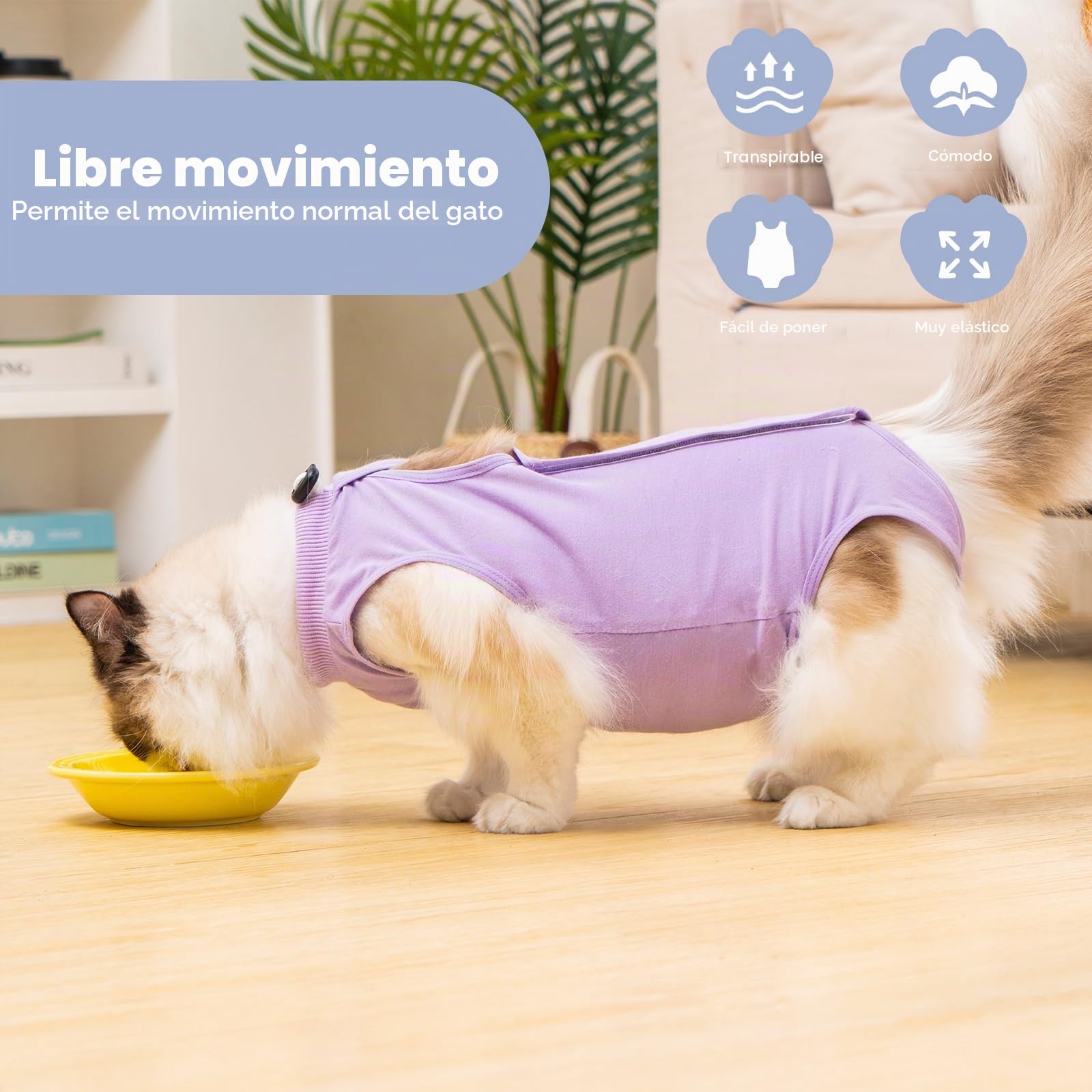 Avont Body De Recuperación para Gatos, Mono Suave para Después De Cirugía, Alternativa Transpirable para Gatas Esterilizadas, Cuidado De Heridas En La Piel, Color Púrpura, Talla S