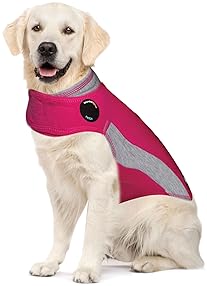 thundershirt harness