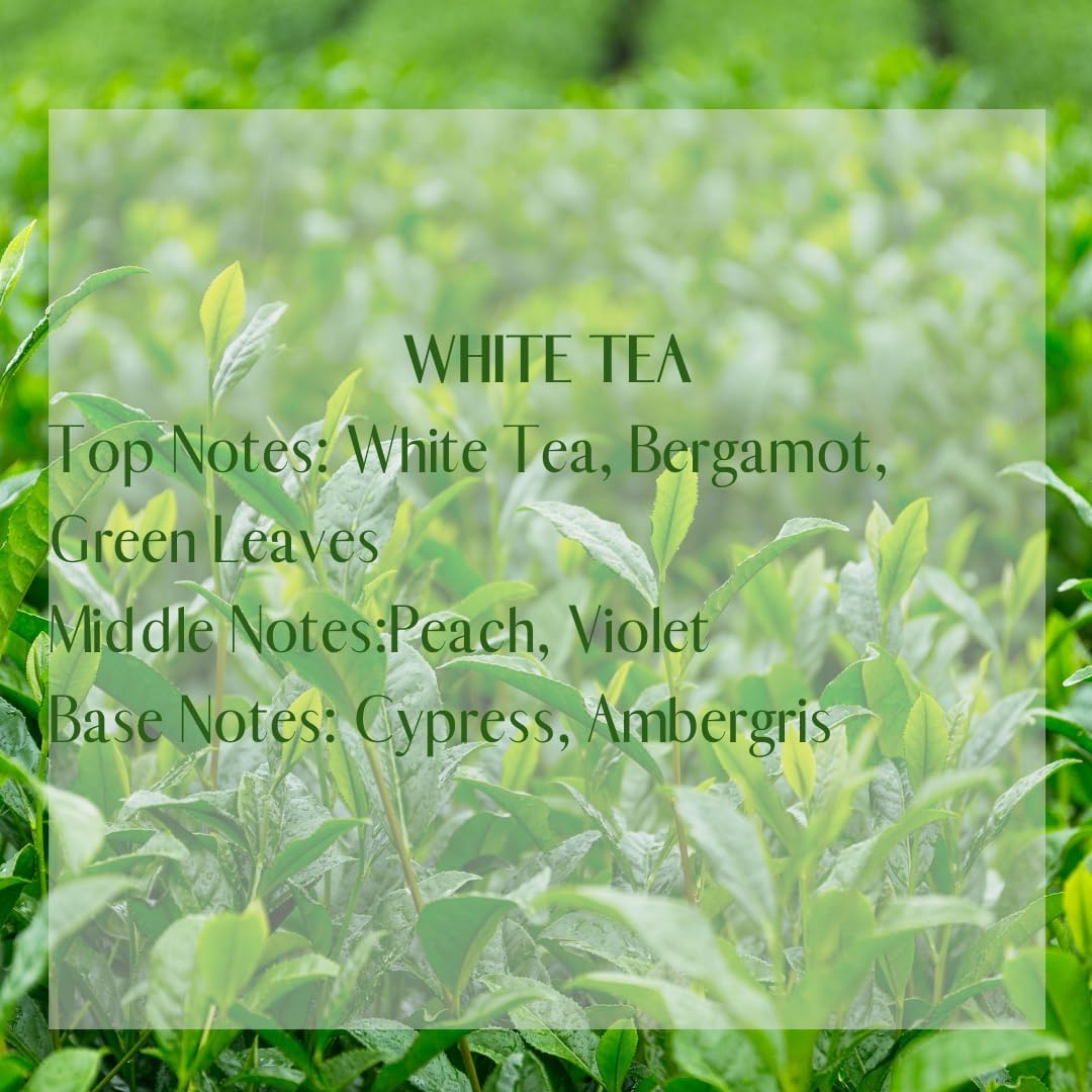 5 Pcs Luxury Scented Sachets for Closets & Drawers, 180 Days Long-Lasting Fragrance Bags for Car, Wardrobe, Bedroom & Home, Premium Hanging Sachets for Clothes & Spaces (White Tea)