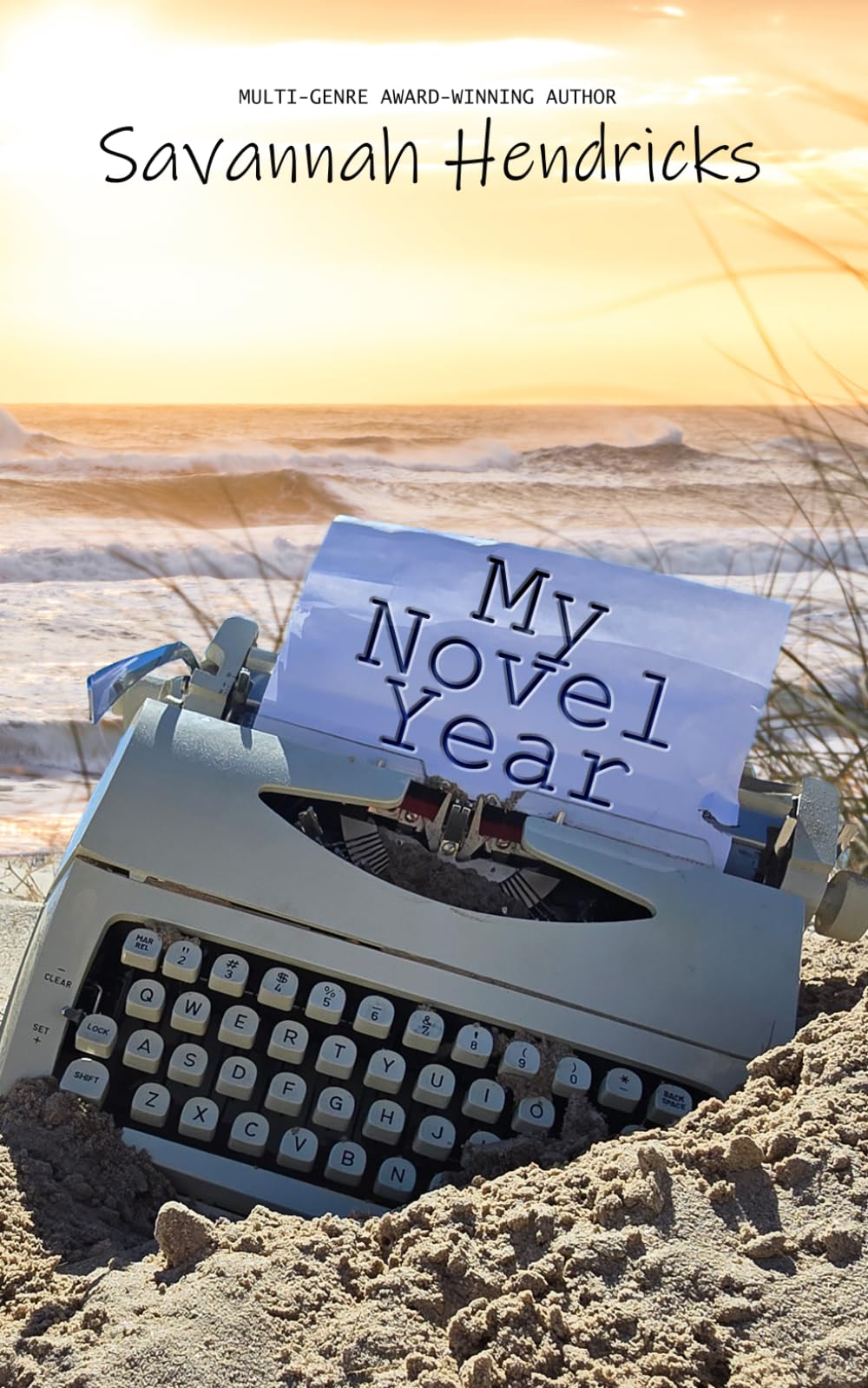 My Novel Year