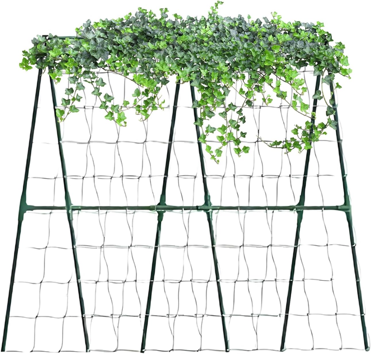 Garden Trellis for Climbing Plants | Climbing Plant Support Obelisk - Tomato Trellis - for Bean Flowers Fruits Grape Pea Squash Tomato Vegetables Vine