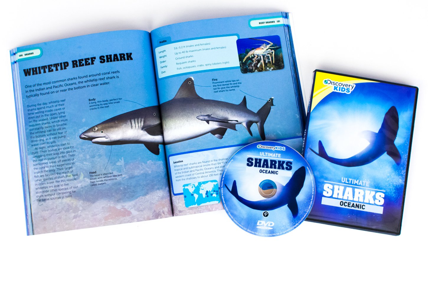 Discovery Kids Ultimate Sharks Encyclopedia: Extraordinary Facts, Amazing Images, Awesome Knowledge (Discovery Book+dvd) - Image 7
