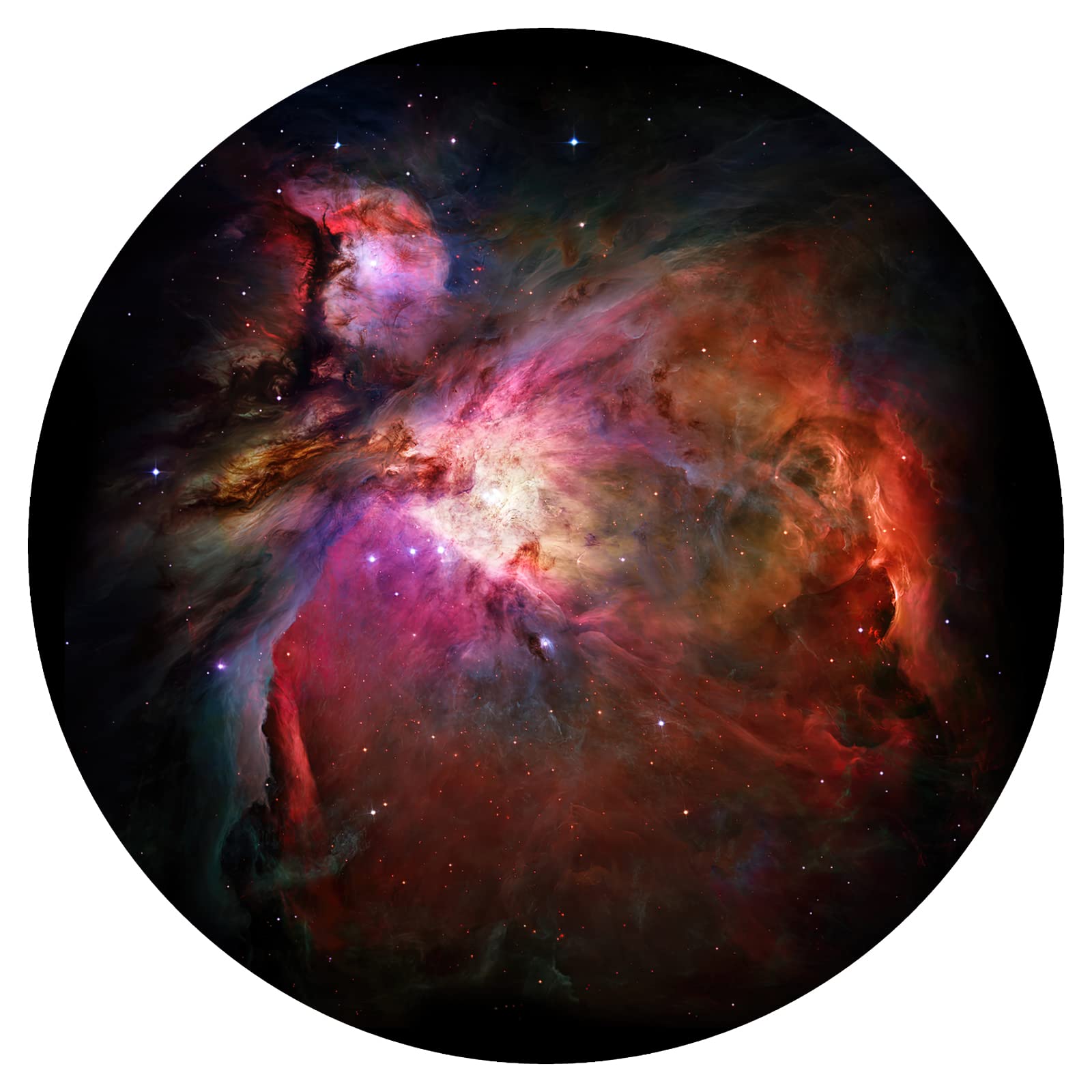 Amazon.co.jp: 星座 - POCOCO Galaxy Lite ホームプラネタリウム