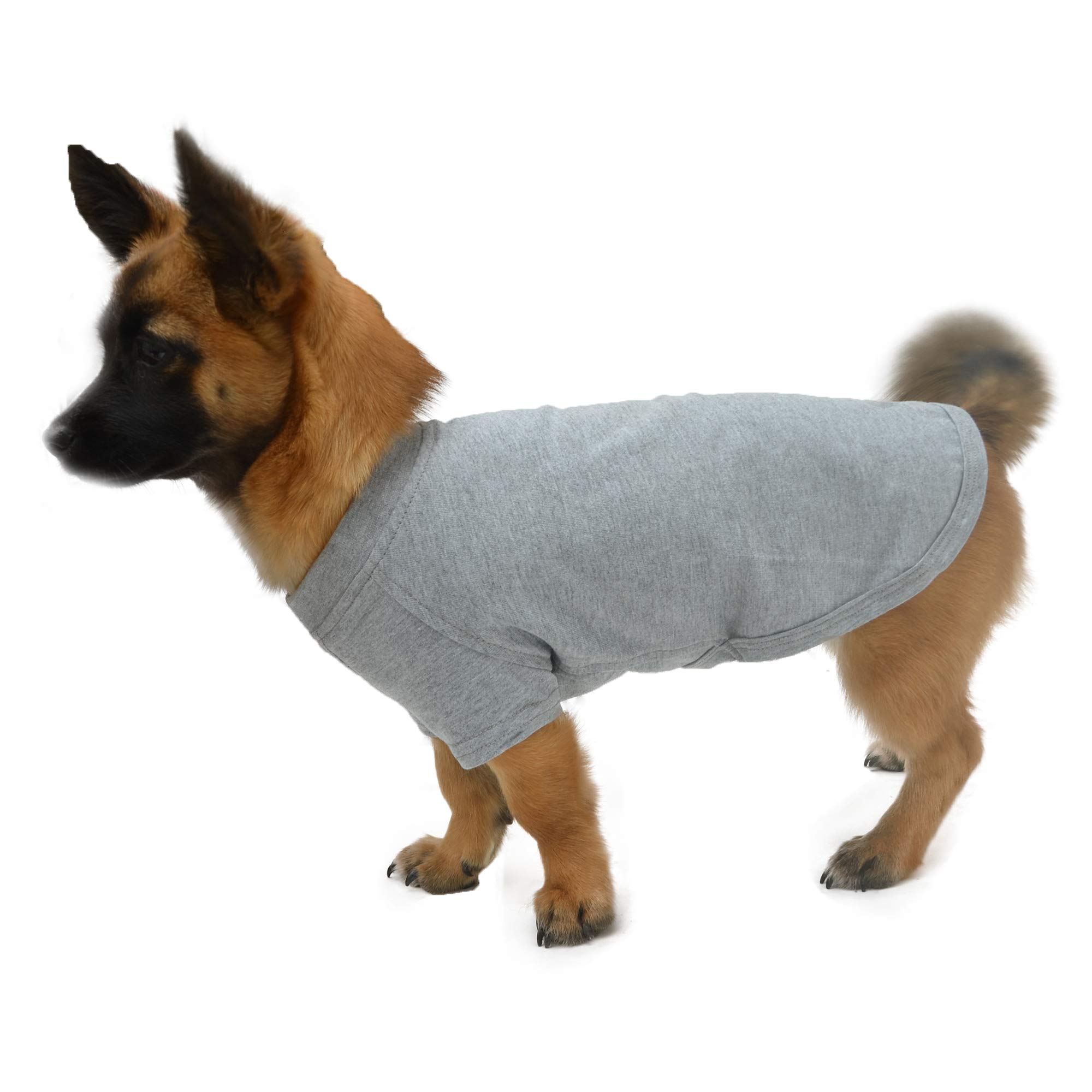 LovelonglongLovelonglong Pet Clothing Dog Costumes Dachshund Clothes Blank T-Shirt Tee Shirts for Dachshund Dogs,Corgi 100% Cotton Gray D-XL