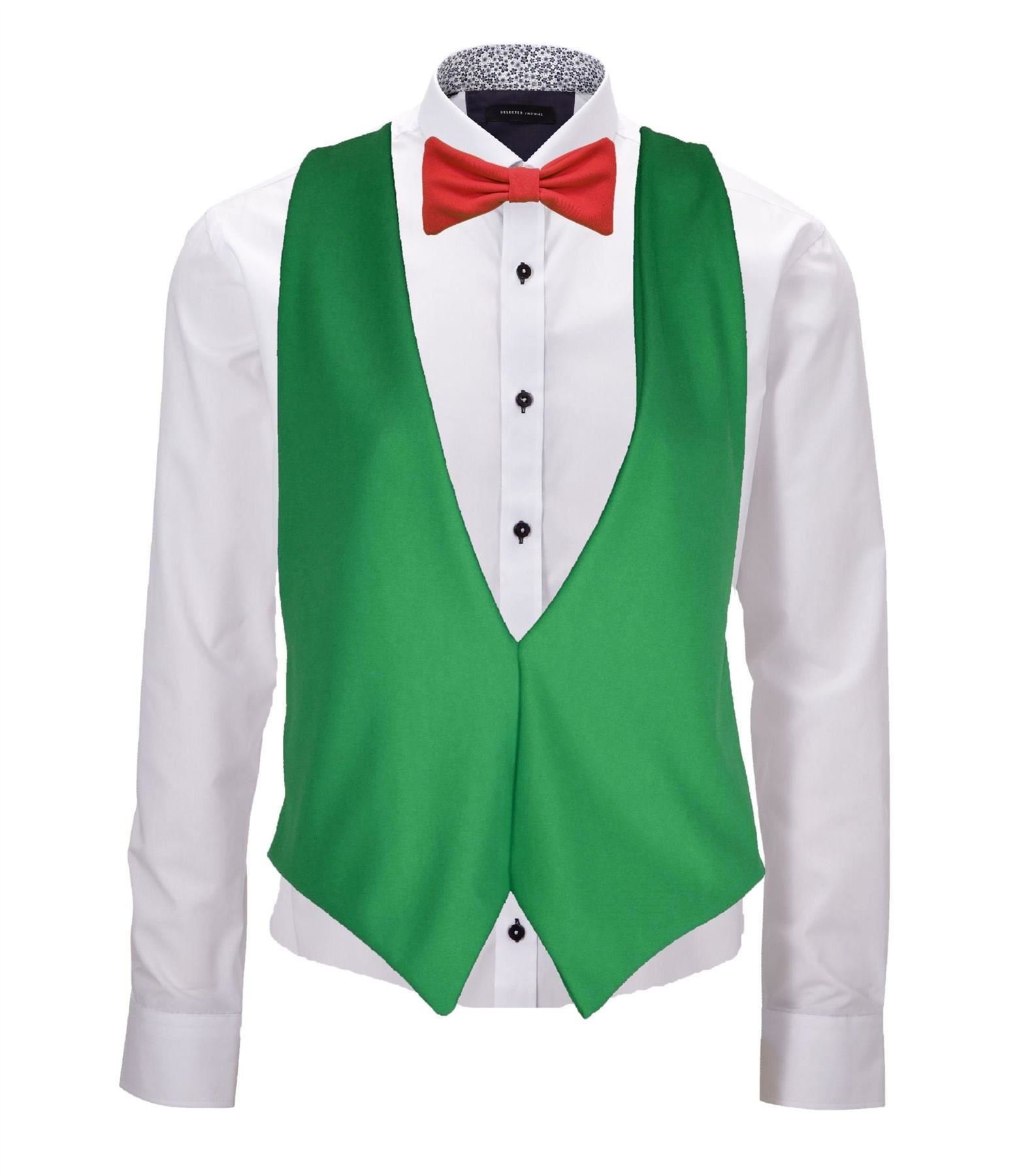 The Dragons Den Adults Wales Welsh Cymru National Flag Backless Waistcoat & Bowtie Fancy Dress [L-XL]