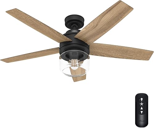 Hunter Fan Company 52335 Margo Ventilador de techo, negro mate