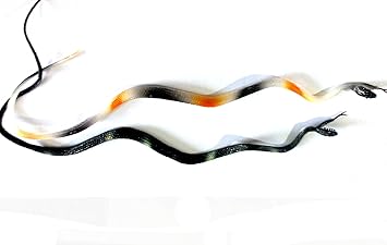 nawani rubber snake,realistic snake toy size - 50 cm 2pic combo- Multi color