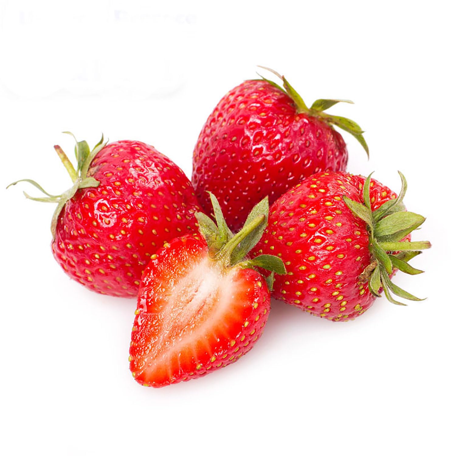SAVINI VIVAI Piante di Fragole Rifiorenti Albion a Radice Nuda 4 Stagioni Mazzi da 20 Frigoconservate