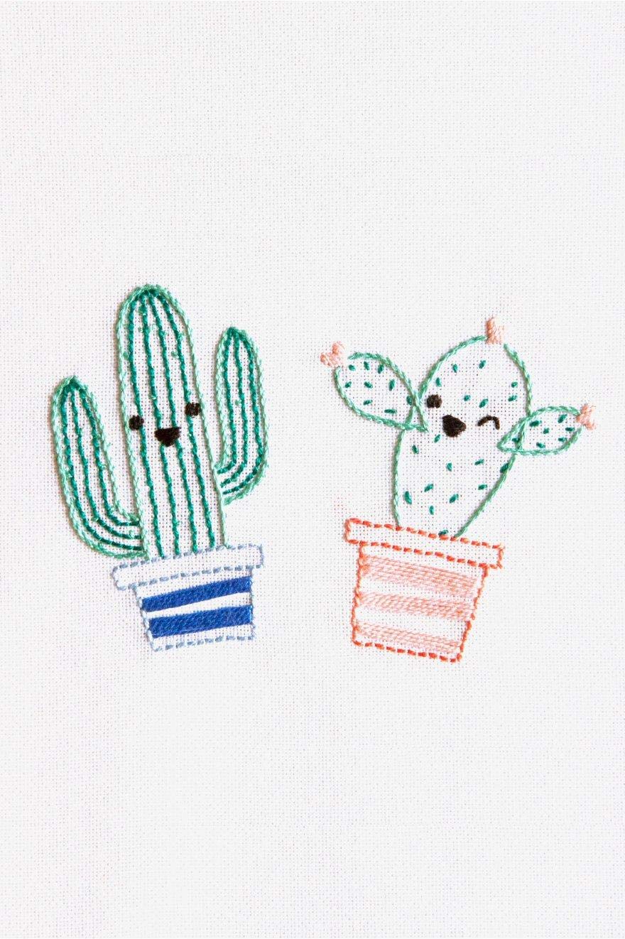 DMC Smiling Cactus Embroidery Kit
