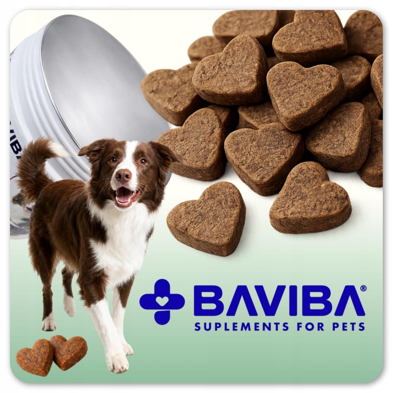 ProBio DOG FORTE 60 Soft Chews – Probiotico Anti-Prurito per Cani | Grattamento, Leccamento, Supporto Intestinale, Digestione, Immunità e Pelle Sana | Bacillus velezensis, MOS+FOS, L-Glutammina