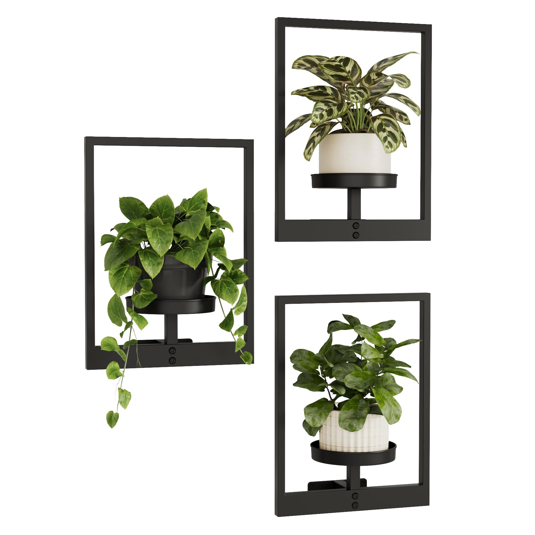 Bamworld Hanging Planters for Indoor Plants Wall Decor, 3 Pack
