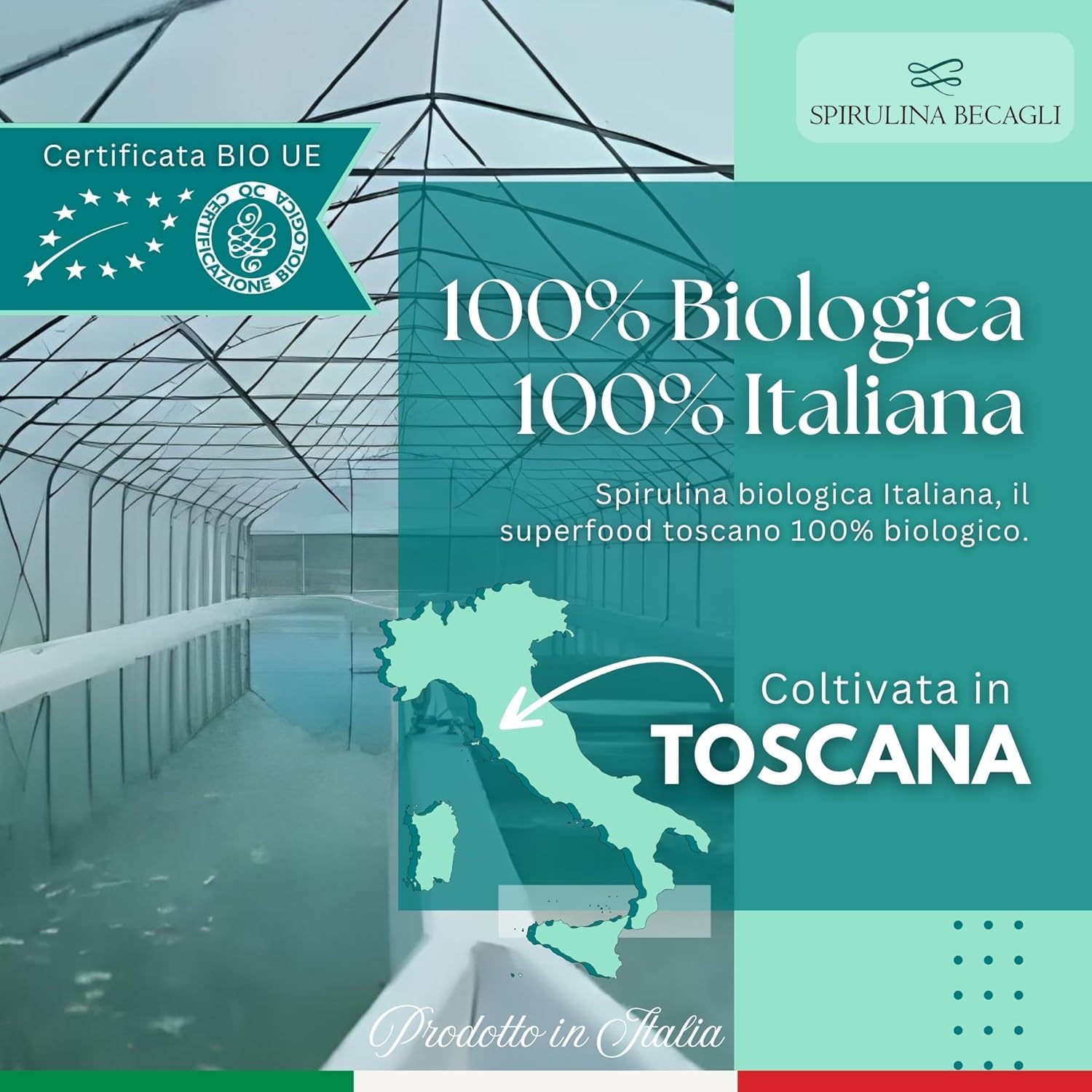 Spirulina Biologica in Capsule – Integratore Alimentare 100% Vegetale – Coltivata in Toscana – Fonte Naturale di Proteine e Vitamine – BECAGLI (180 Capsule)