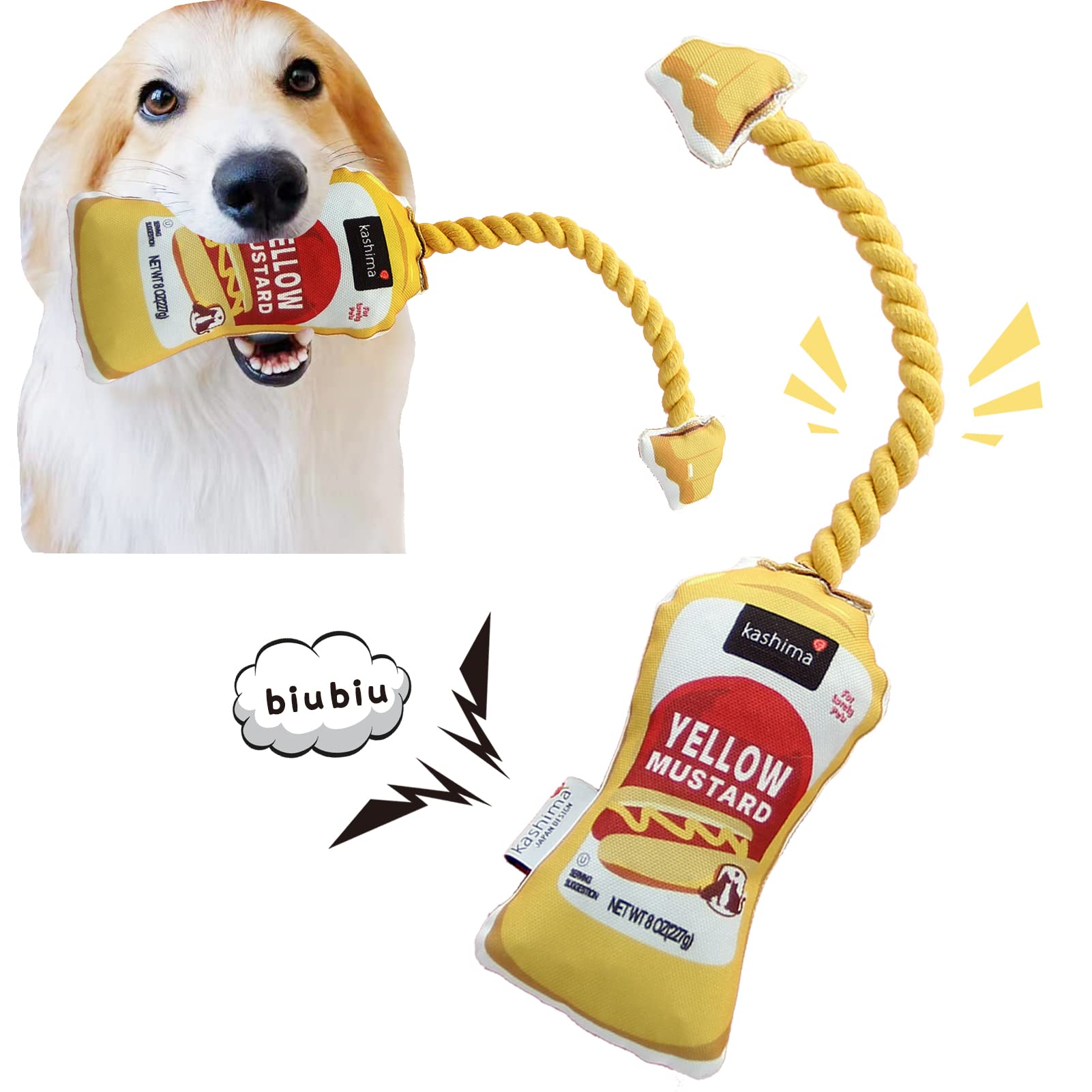 Why Does My Dog Chew Paper