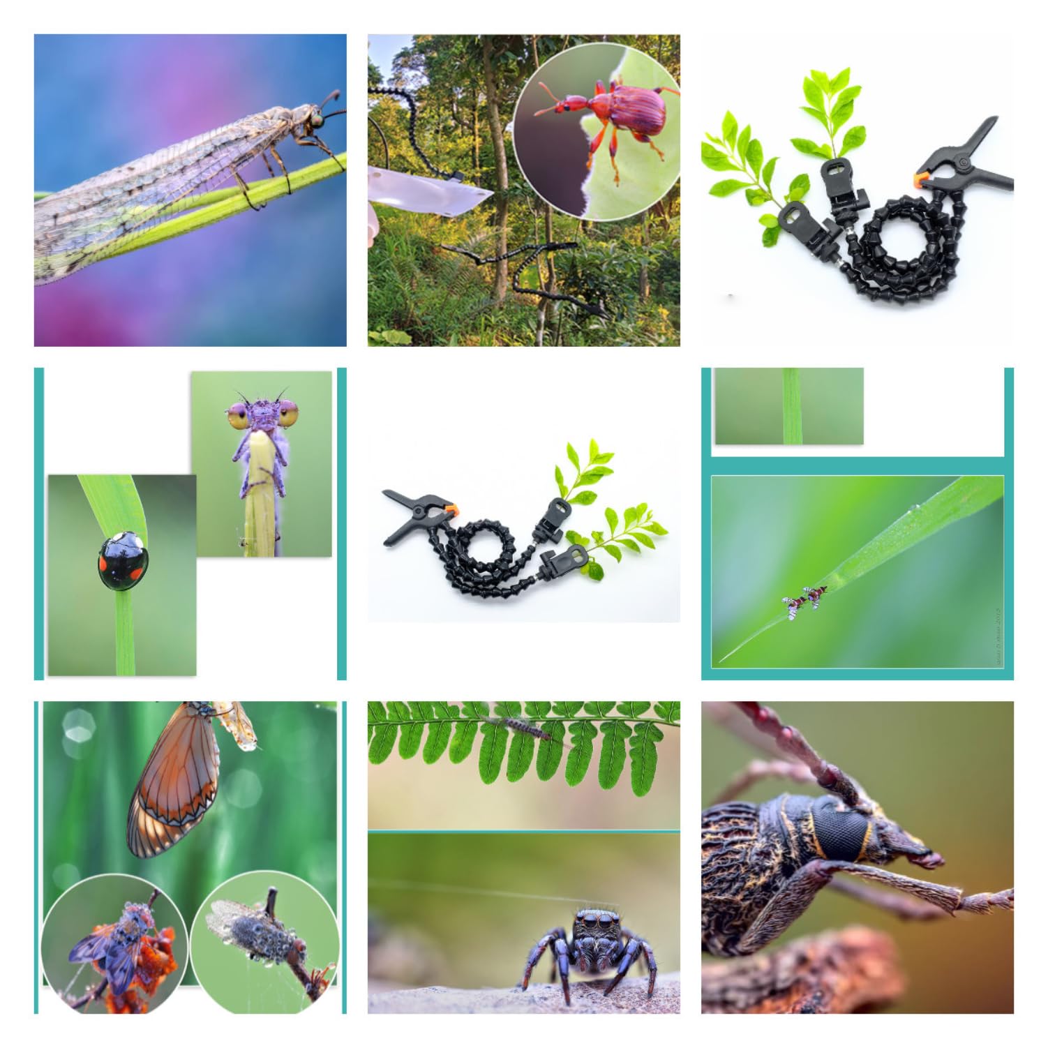 Pince macro 60 cm avec clip rotatif à 360° réglable pour insectes, fleurs et arrière-plans (double tube)