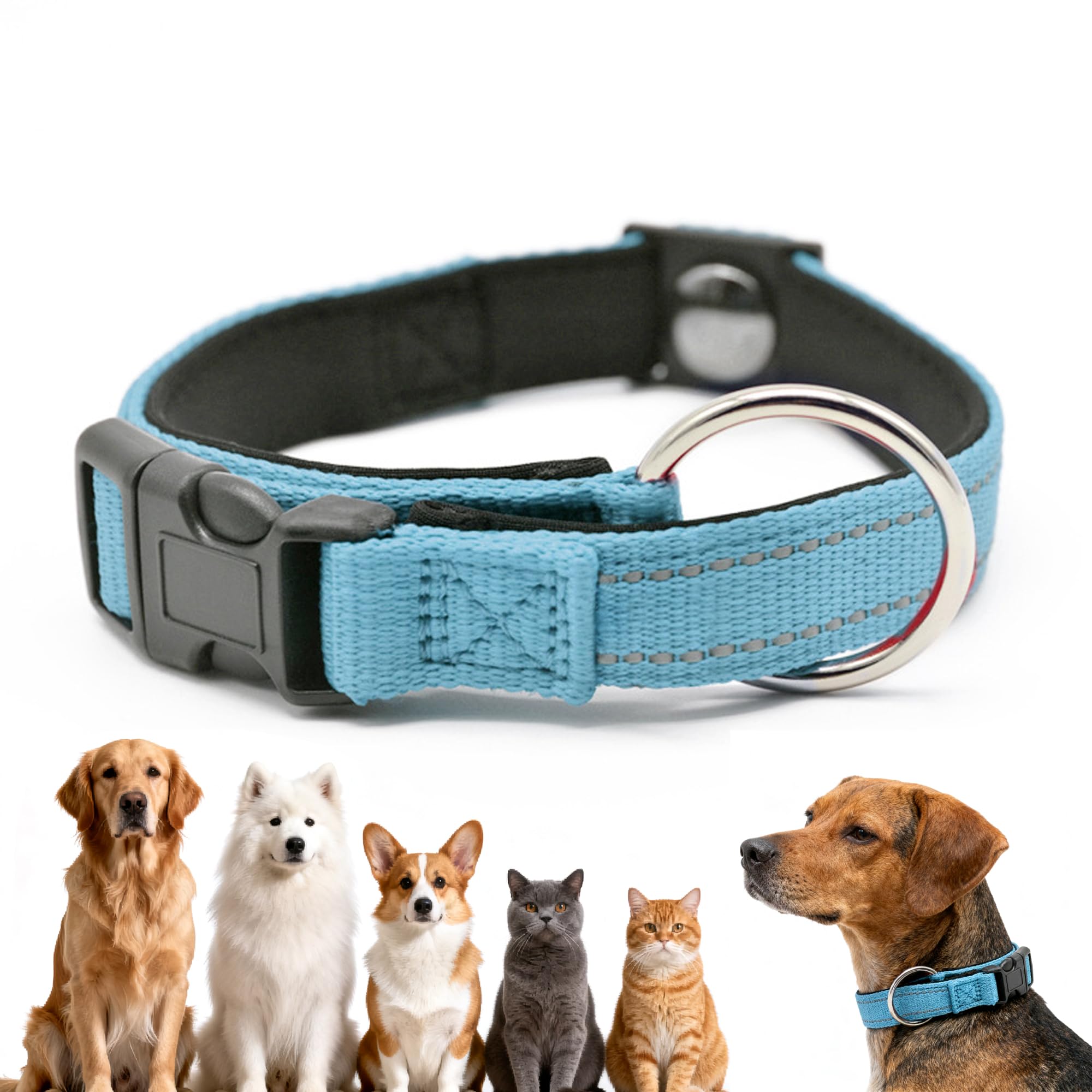 Magnetic Buckle Dog Collar, Reflective & Waterproof Adjustable Pet Collar with Quick Release, Escape-Proof Design for Small Medium Large & Senior Dogs, Daily Walk Safety (blue)