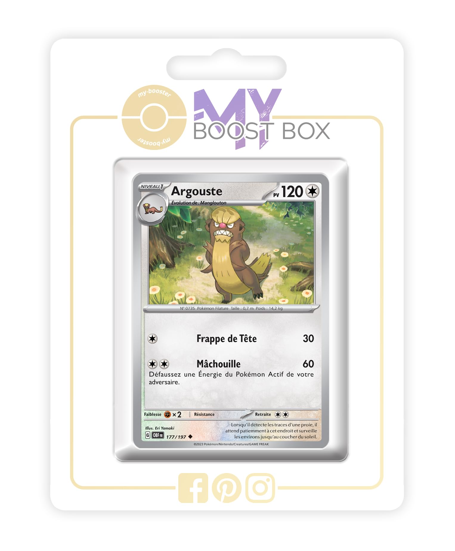 Cartes Pokémon Argouste 177/197 Reverse d'exception Myboost X - 6