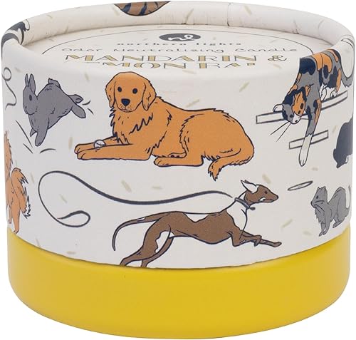 Northern Lights Candles - Pawson - Mandarina y bálsamo de limón, vela de lata de 5 oz - 79001