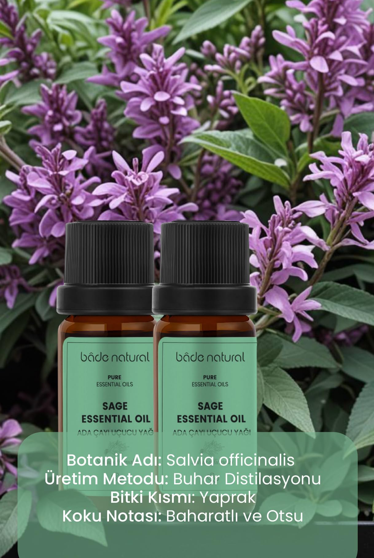 Bade Natural Adaçayı Uçucu Yağı 1 Paket (1 X 10 Ml)