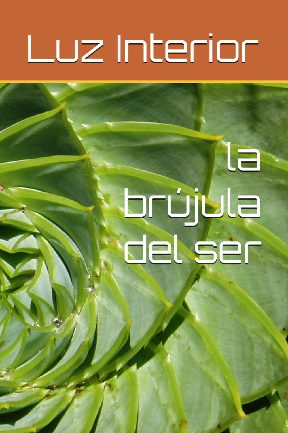 la brújula del ser
