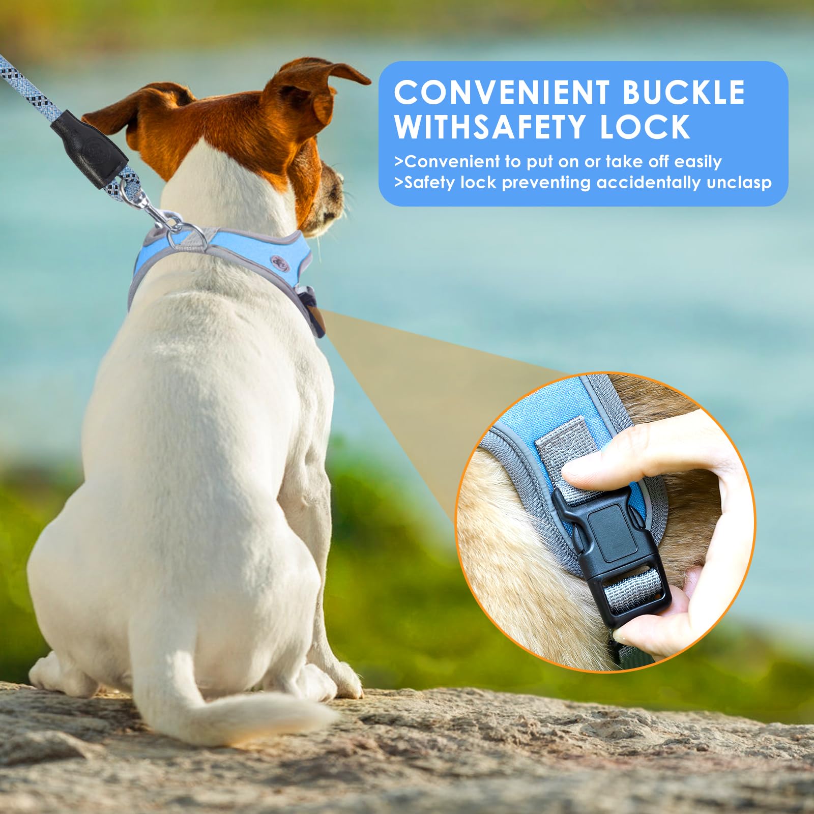 Hounds Design How To Put On A Good To Go Dog Harness Hounds