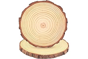 Natural Wood Slices 6 Inch: Round with Barks Wooden Circles Unfinished