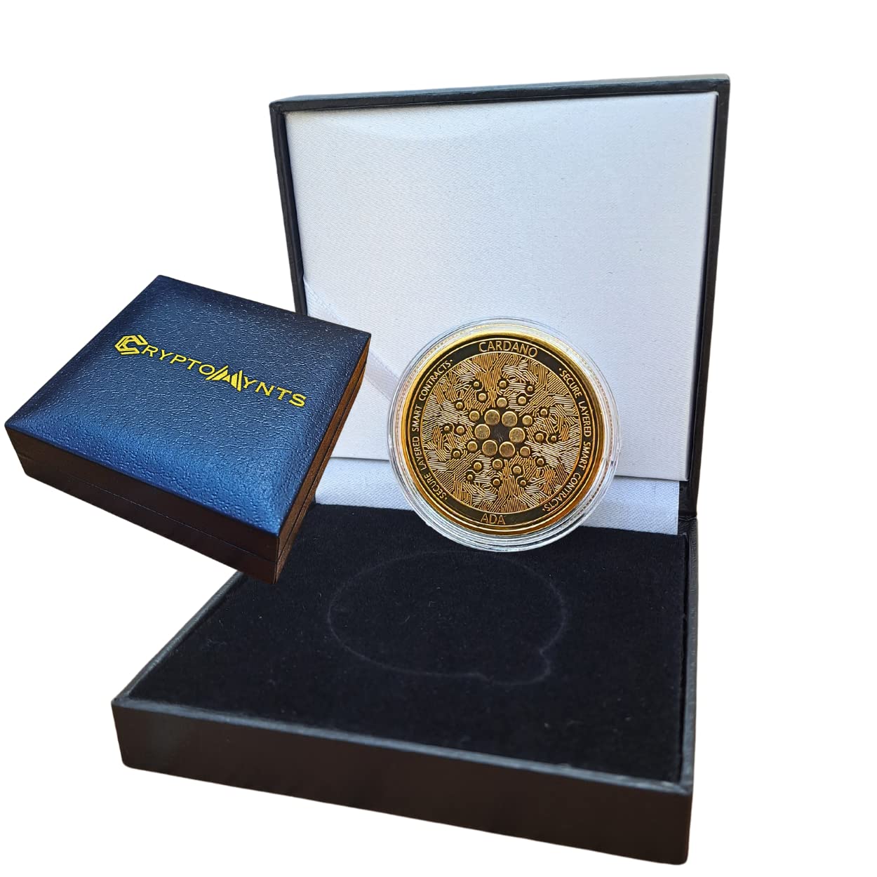 Cryptomyntscryptocurrency Coin Gift Set Cardano Safemoon Gold Crypto Coin  Display | Desertcart Cyprus
