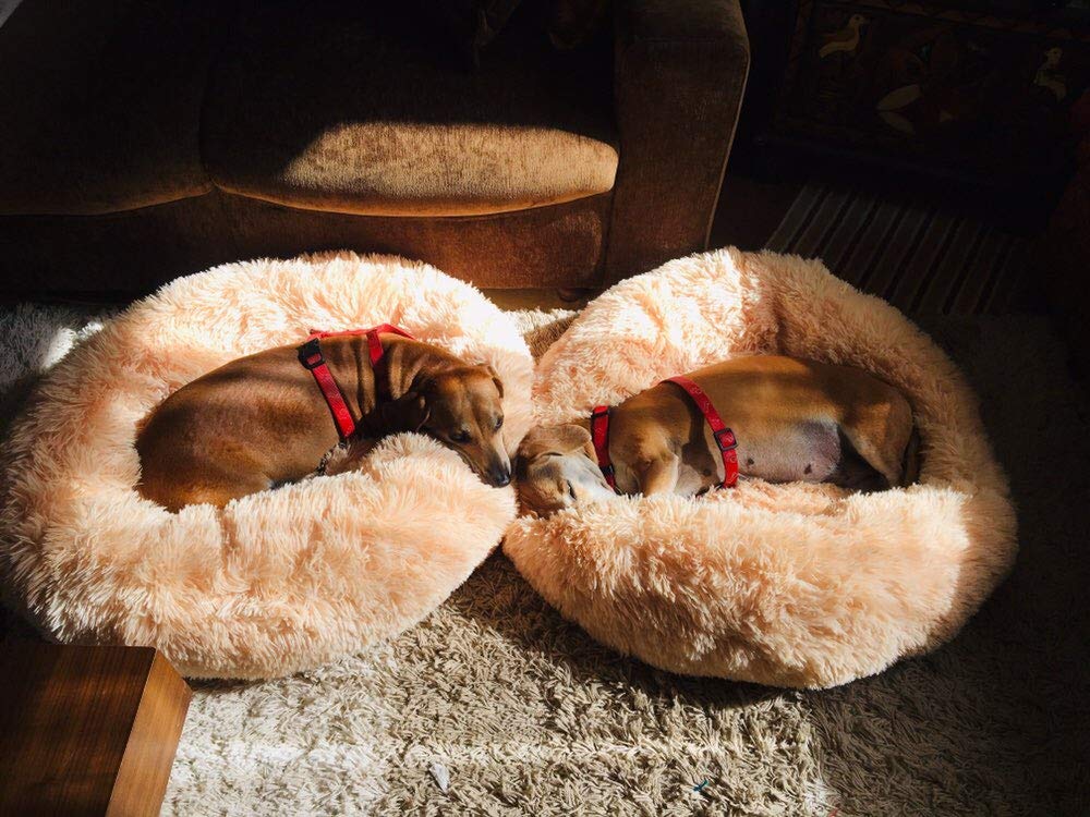 Super morbido letto per animali domestici invernale caldo cane cuccia cane rotondo gatto peluche cucciolo cuscino pad portatile gatto forniture 40 cm vino rosso