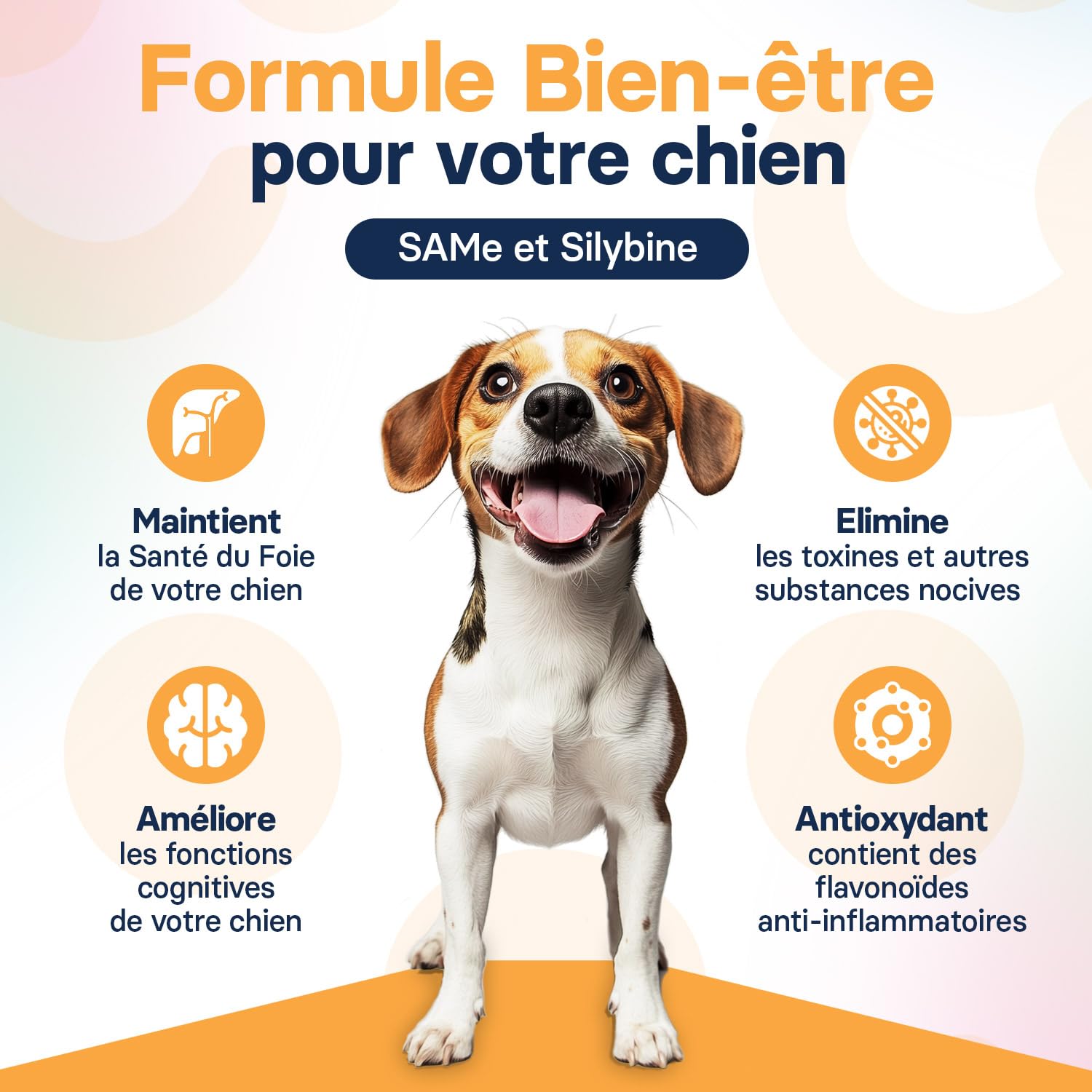 Complément Foie pour Chiens de Taille Moyenne - Complément De Chardon Marie pour Le Soutien du Foie des Chiens - avec S-adénosylméthionine (Same) Et Silybine - 30 Comprimés
